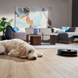 Робот-пилосос Philips Series 2000 XU2000/10  31064766 фото 8